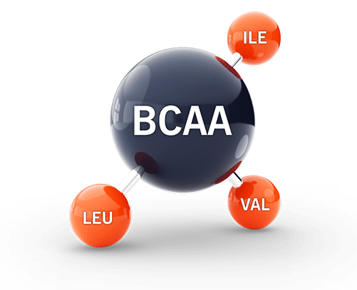 BCAA Energect BIMEDA f 4