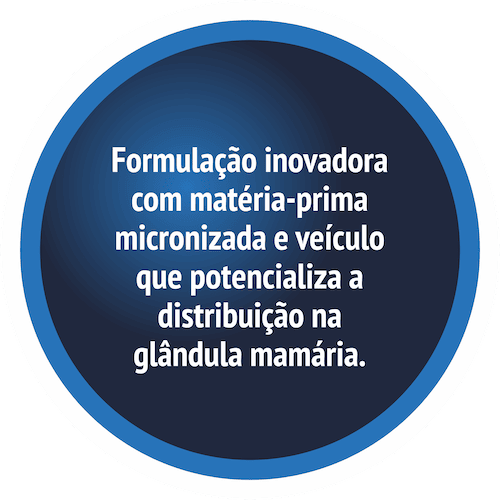 Texto no círculo