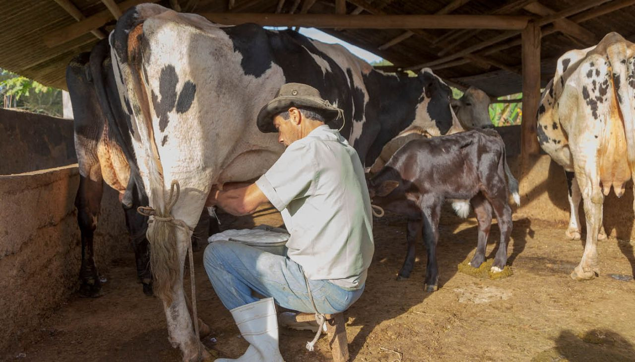 pequenos-produtores-rurais-sao-fundamentais-para-a-producao-de-alimentos-capa