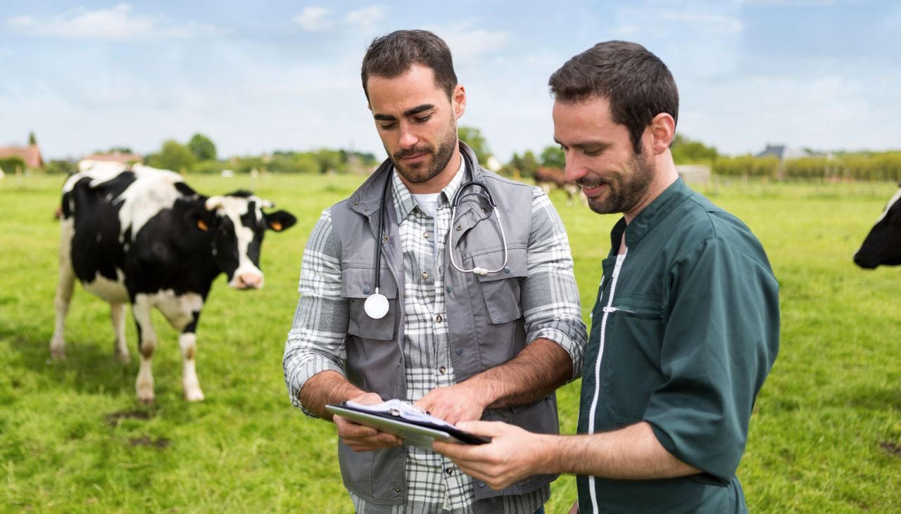 vermifugacao-correta-traz-melhor-bem-estar-produtividade-e-ate-aumento-na-taxa-de-prenhez-das-vacas-capa