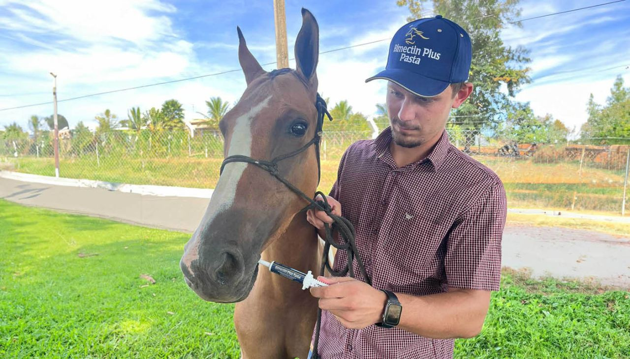 produtor-voce-se-lembrou-de-vermifugar-o-seu-cavalo-capa