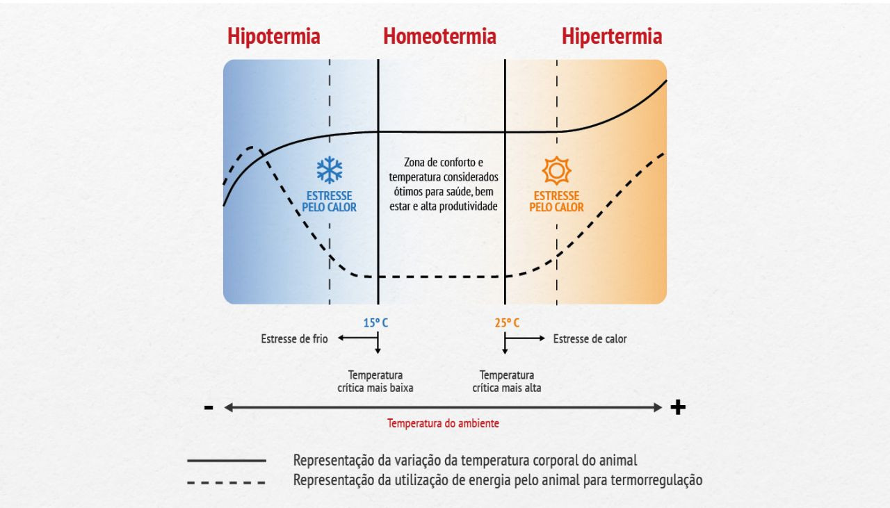 estresse-termico-causa-perda-na-producao-e-impacto-na-saude-de-bovinos