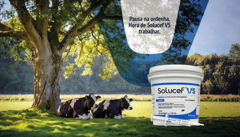 Solucef VS: Bimeda lança formulação inovadora para período seco