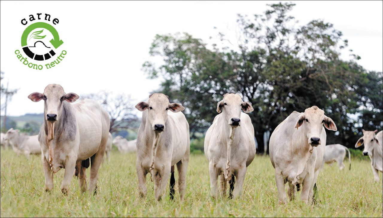 Selo Carne Carbono Neutro é concedido a propriedades que neutralizam a emissão de gases do efeito estufa na pecuária